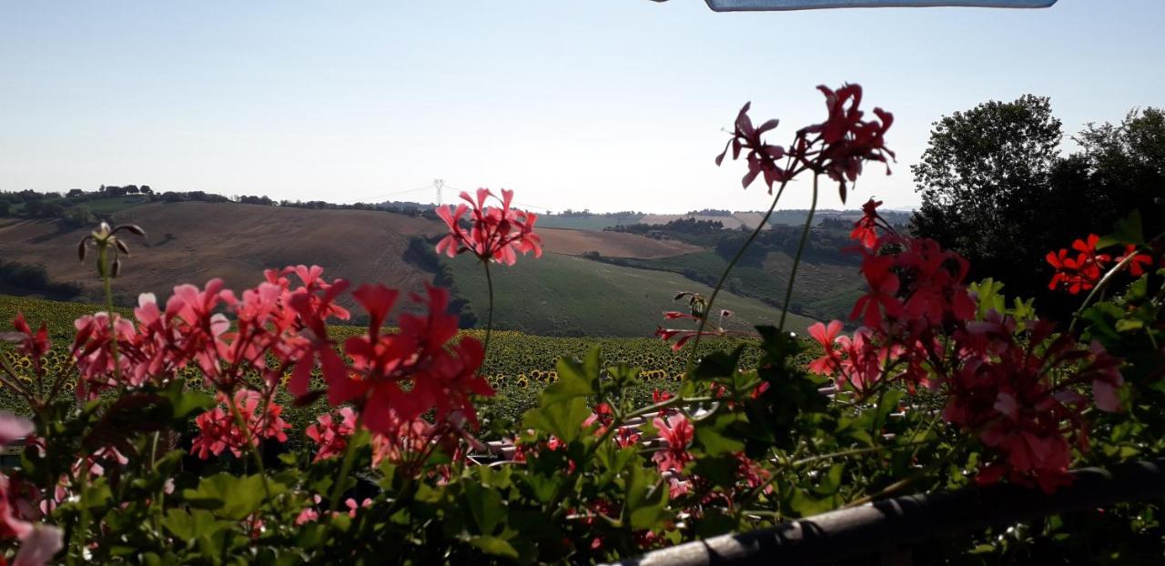 Lo Scrigno Di Simon Bed & Breakfast Senigallia Bagian luar foto